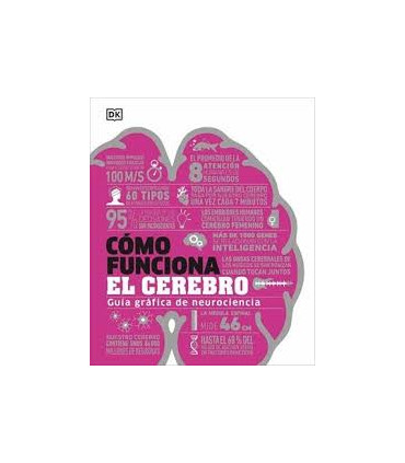 Cómo funciona el cerebro