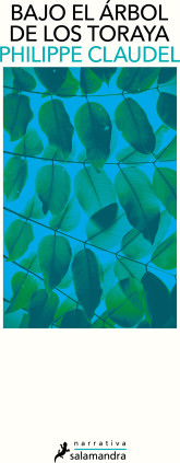 Bajo el árbol de los toraya