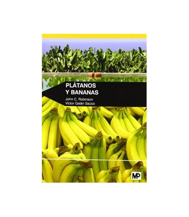 Plátanos y bananas