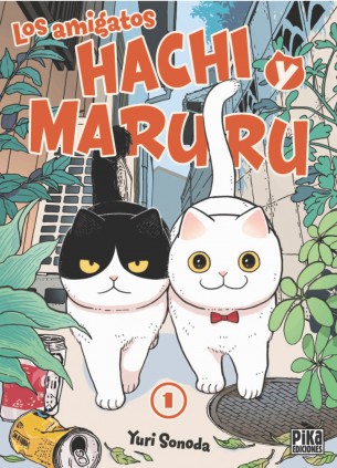 Los amigatos Hachi y Maruru, 1