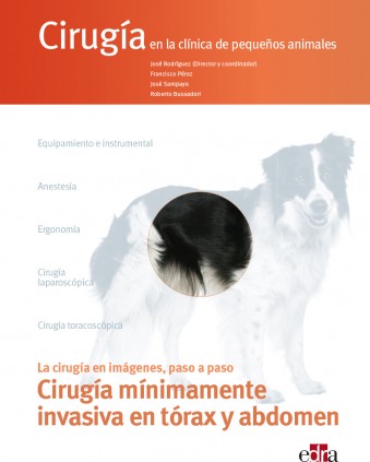 CIRUGIA EN LA CLINICA DE PEQUEÃ‘OS ANIMA