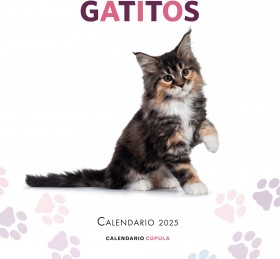 Calendario Gatitos 2025