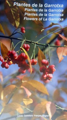 Plantes de la Garrotxa  Plantas de la Garrotxa  Plantes de la Garrotxa  Flowers of La Garrotxa / [text: Xavier Oliver i Xavier V