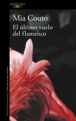 El último vuelo del flamenco