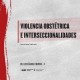 Violencia obstétrica e interseccionalidades