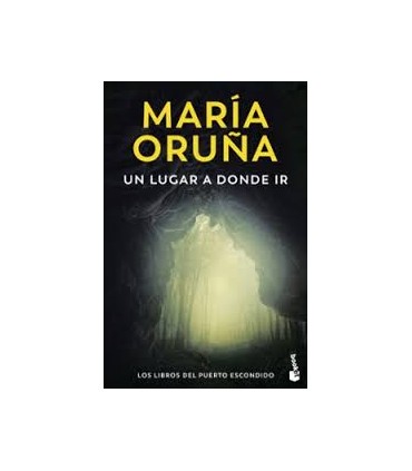 UN LUGAR A DONDE IR (LOS LIBROS DEL PUER