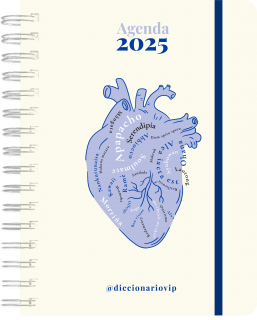 Agenda anual diaria 2025 ""DiccionarioVip""
