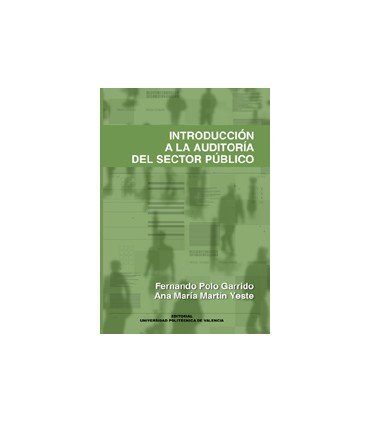 INTRODUCCIÓN A LA AUDITORÍA DEL SECTOR PÚBLICO