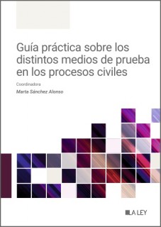 Guía práctica sobre los distintos medios de prueba en los procesos civiles