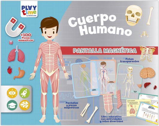 PANTALLA MAGNETICA - EL CUERPO HUMANO