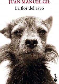 LA FLOR DEL RAYO