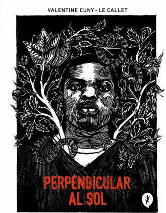 Perpendicular al sol