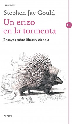 Un erizo en la tormenta