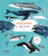 Ballenas. Vida secreta (3ª edición con póster coloreable)