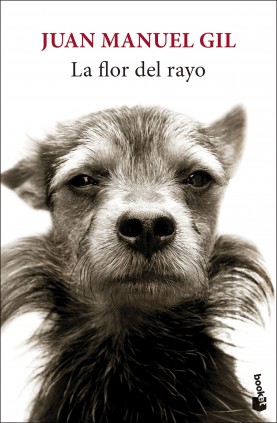 LA FLOR DEL RAYO