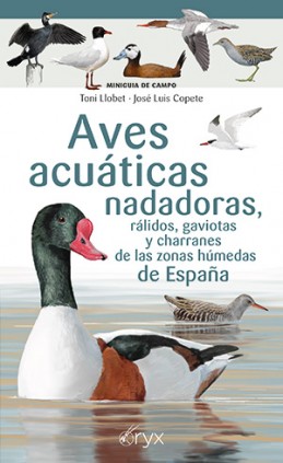 Aves acuáticas nadadoras, rálidos, gaviotas y charranes de las zonas húmedas de España
