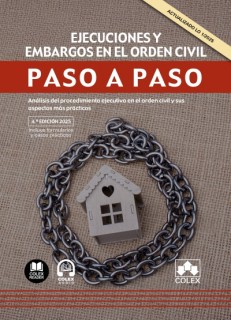 Ejecuciones y embargos en el orden civil. Paso a paso