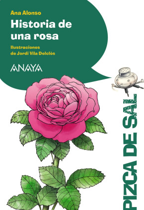 HISTORIA DE UNA ROSA