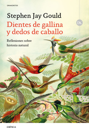 DIENTES DE GALLINA Y DEDOS DE CABALLO