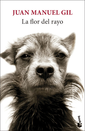 LA FLOR DEL RAYO