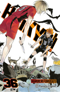 HAIKYU!! Nº 36/45