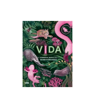 VIDA