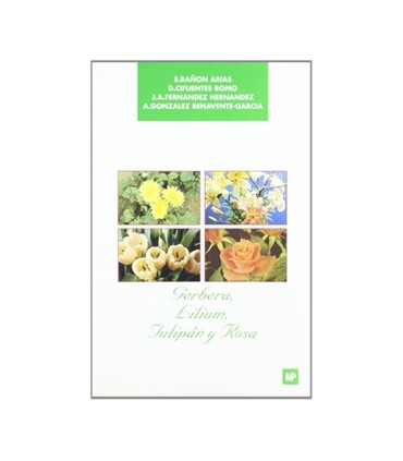 Gerbera , lilium, tulipán y rosa