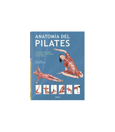 ANATOMIA DEL PILATES