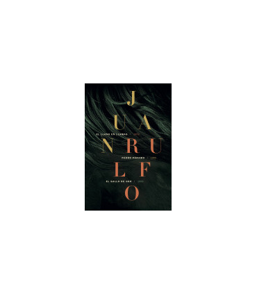 EL LLANO EN LLAMAS PEDRO PARAMO EL GALLO