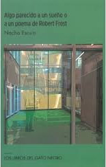 ALGO PARECIDO A UN SUEÑO. GATO NEGRO