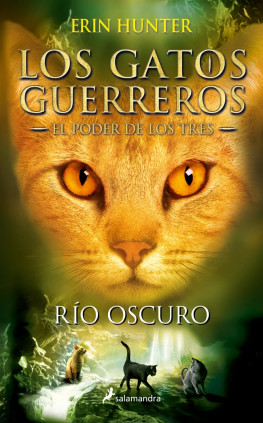 GATOS GUERREROS PODER TRES 2 RIO OSCURO