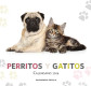 CALENDARIO PERRITOS Y GATITOS 2026