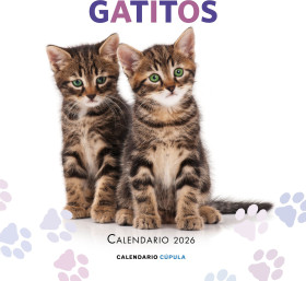 CALENDARIO GATITOS 2026