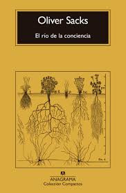 EL RIO DE LA CONCIENCIA