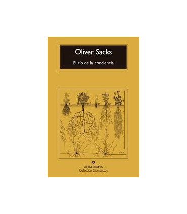 EL RIO DE LA CONCIENCIA
