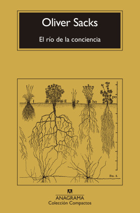 EL RIO DE LA CONCIENCIA