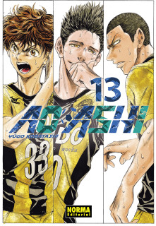 AO ASHI 13