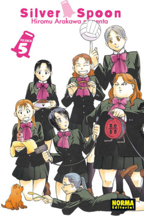 SILVER SPOON 5