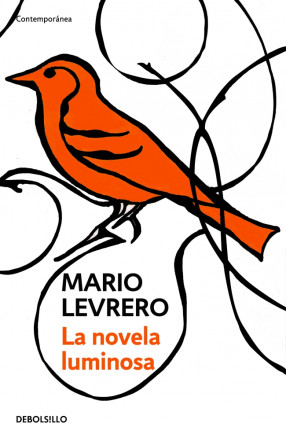 La novela luminosa