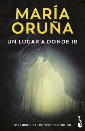 UN LUGAR A DONDE IR (LOS LIBROS DEL PUER