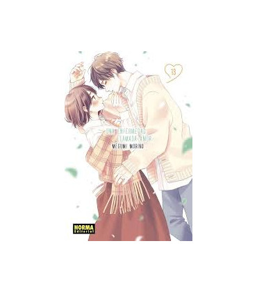 UNA ENFERMEDAD LLAMADA AMOR 13