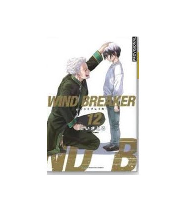Wind Breaker 12 (Shônen)