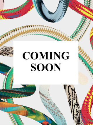 Art for All. Arquitectura californiana