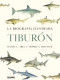 TIBURON