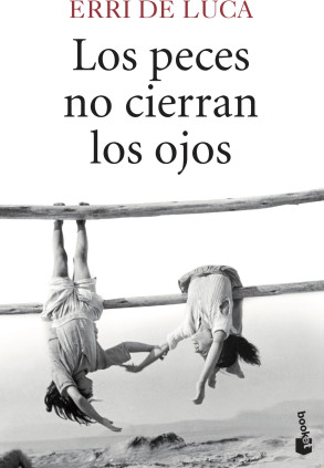 Los peces no cierran los ojos