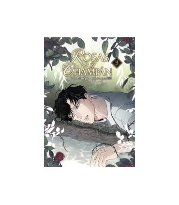 ROSAS Y CHAMPAN 03