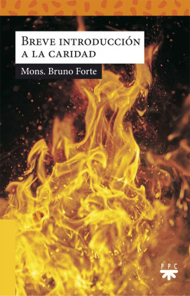 Breve introducción a la caridad
