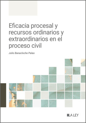 Eficacia procesal y recursos ordinarios y extraordinarios en el proceso civil