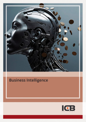 Business Intelligence