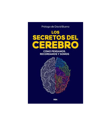 LOS SECRETOS DEL CEREBRO